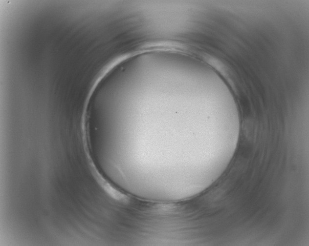 X0000068861482200605192004