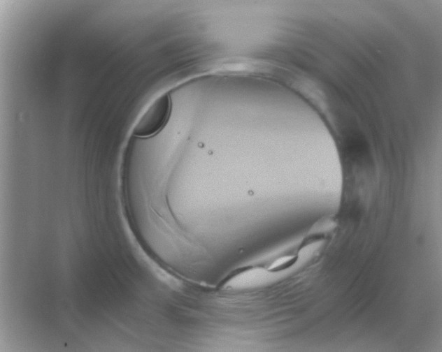 X0000068861483200605192004