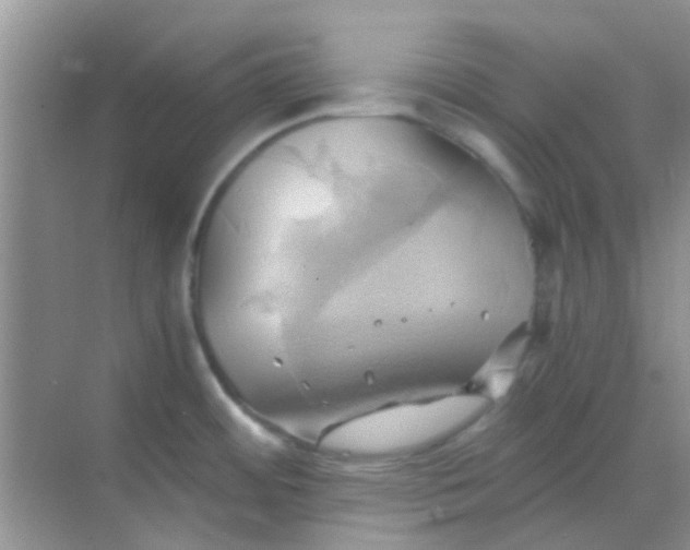 X0000068861484200605192004