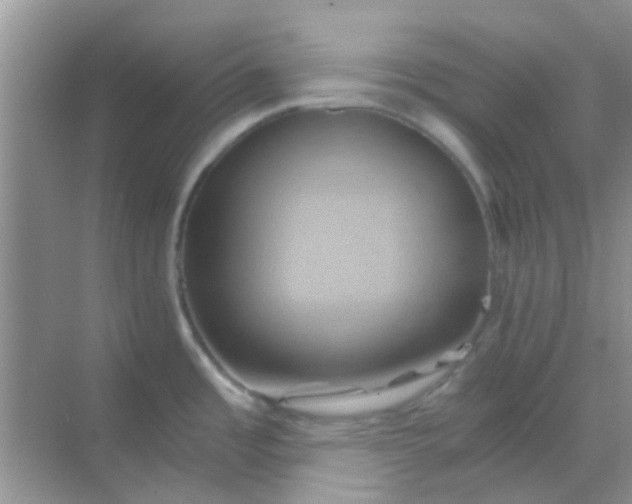 X0000068861485200605192004