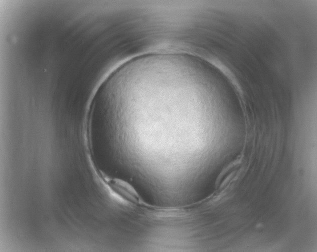 X0000068861486200605192004