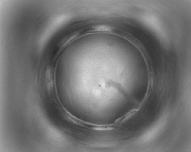 X0000068861487200605192004