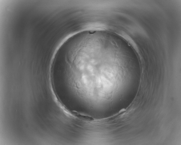 X0000068861488200605192004