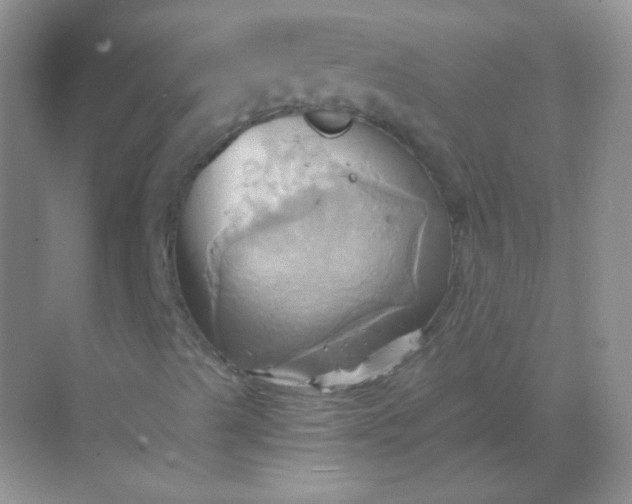 X0000068861489200605192003