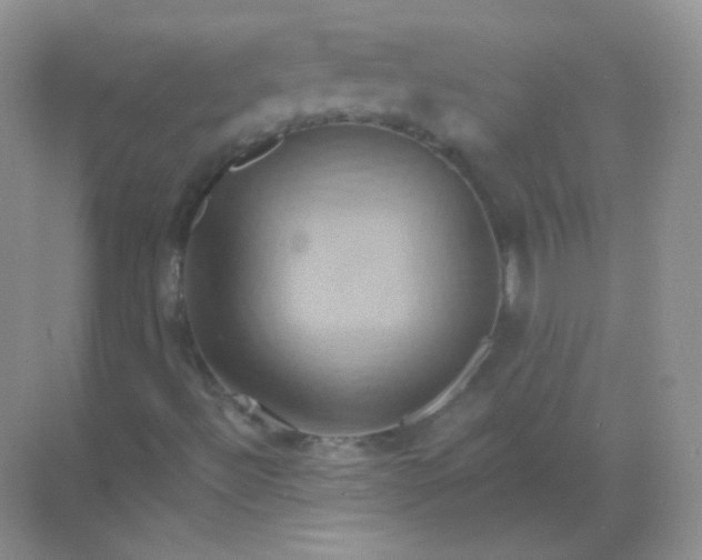 X0000068861492200605192003