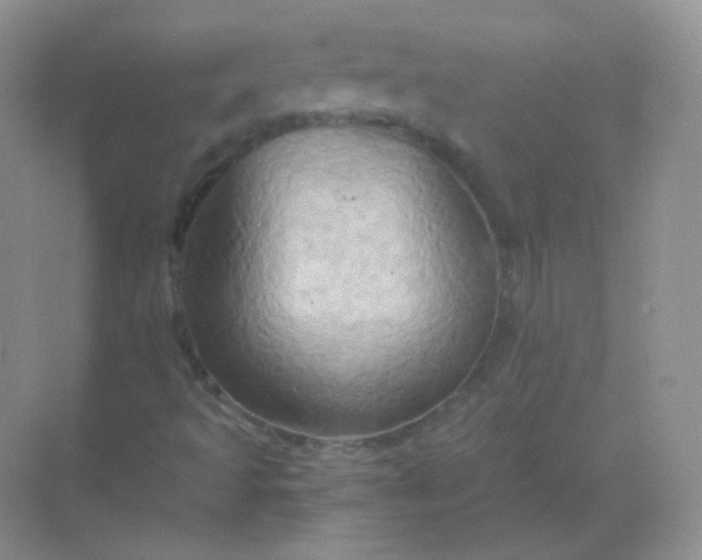 X0000068861493200605192003