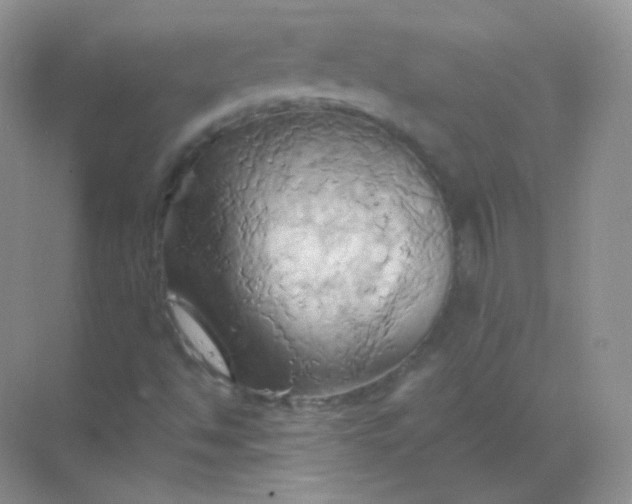 X0000068861494200605192003