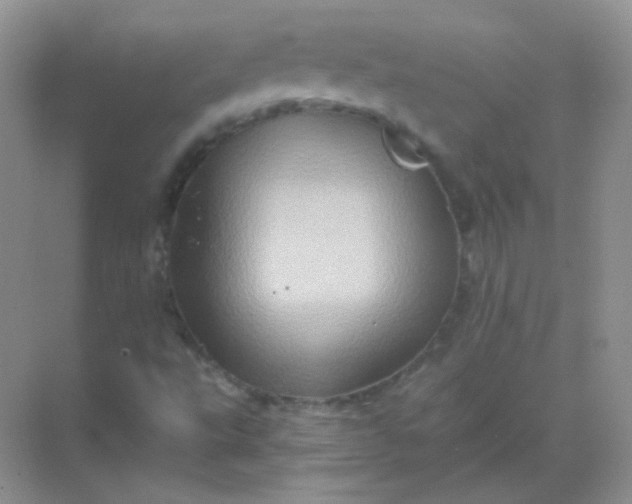 X0000068861495200605192003