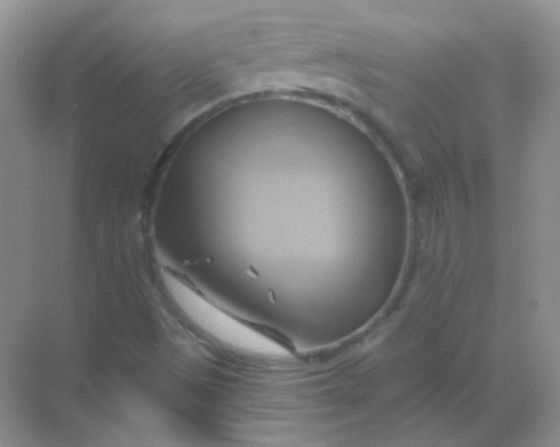 X0000068861497200605192003