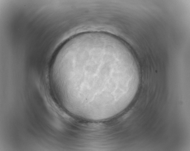 X0000068861498200605192003