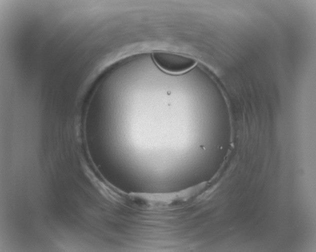 X0000068861499200605192003