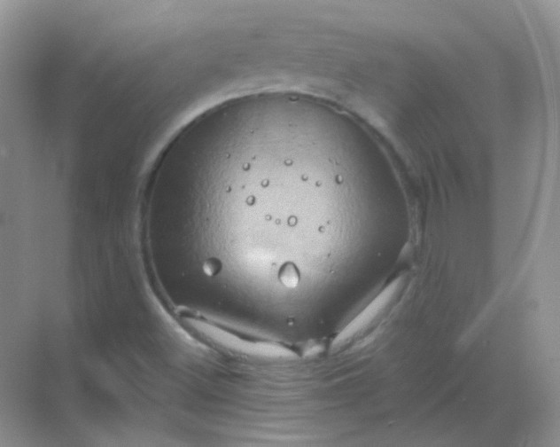 X0000068861500200605192003