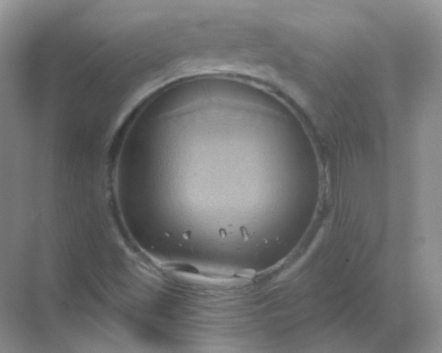 X0000068861501200605192003