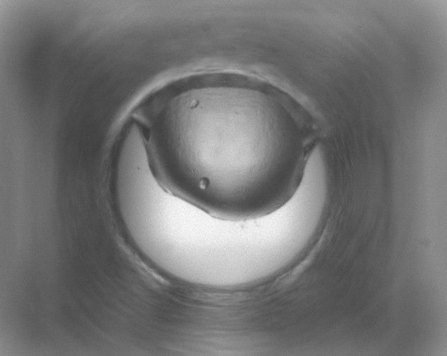 X0000068861502200605192003