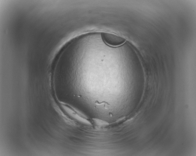 X0000068861503200605192003