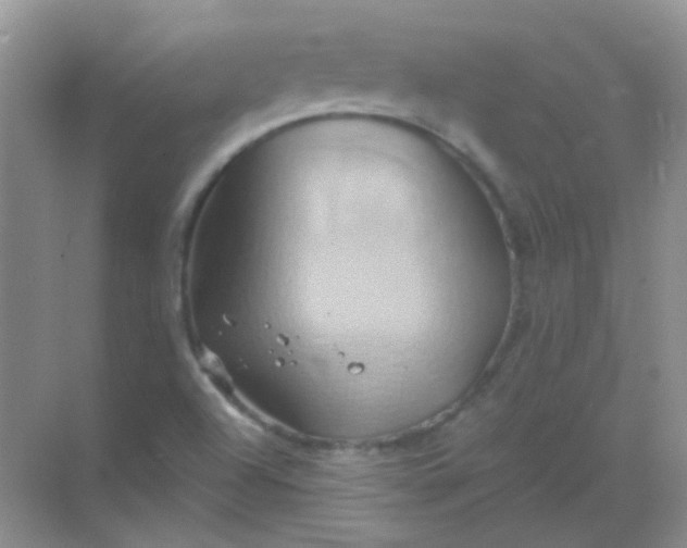 X0000068861504200605192004