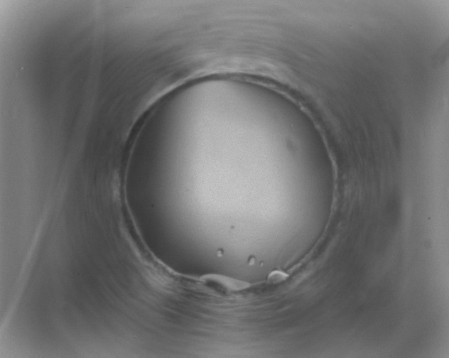 X0000068861505200605192004