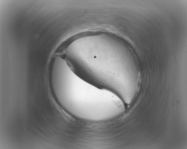 X0000068861506200605192004