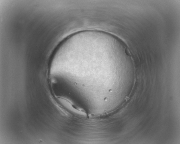 X0000068861507200605192004