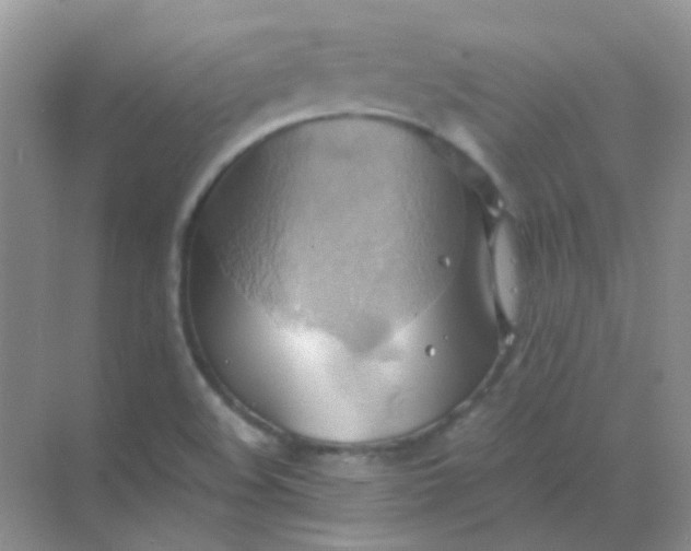 X0000068861508200605192004