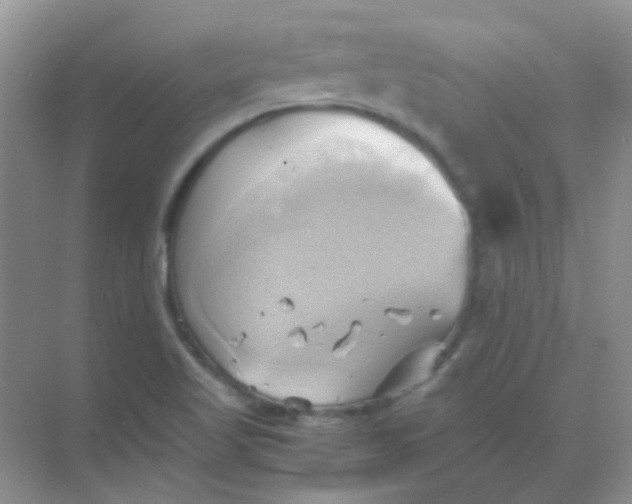 X0000068861509200605192004