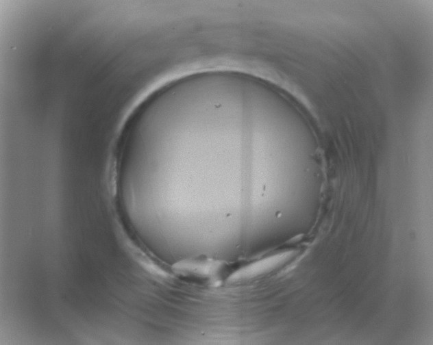 X0000068861510200605192004