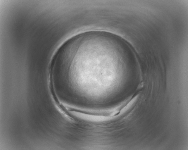 X0000068861511200605192004