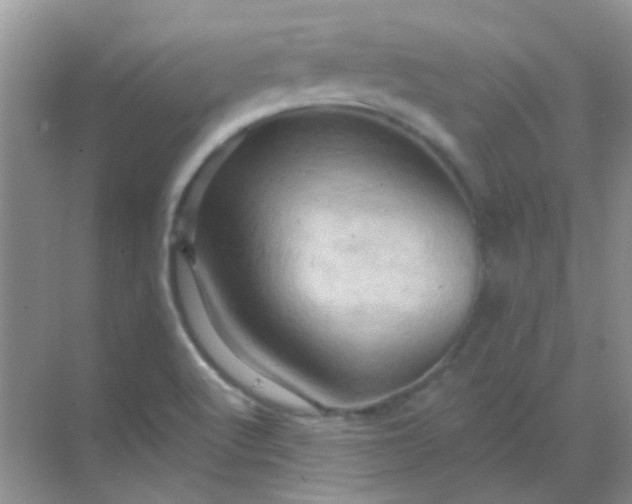 X0000068861512200605192004