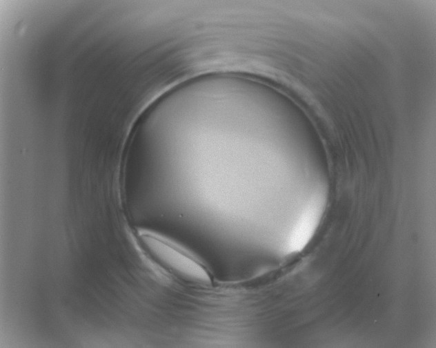 X0000068861513200605192004