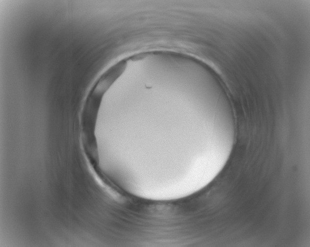 X0000068861515200605192004