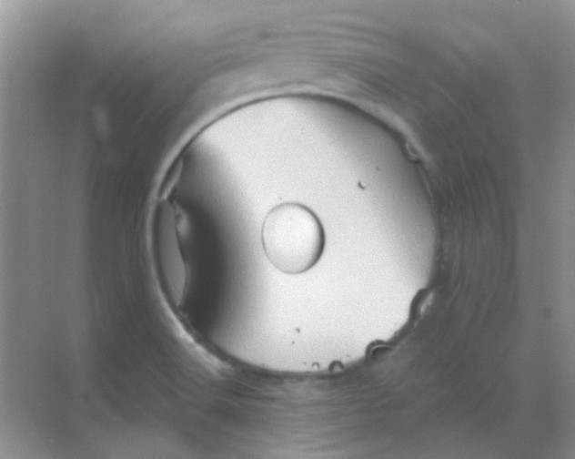 X0000068861516200605192004