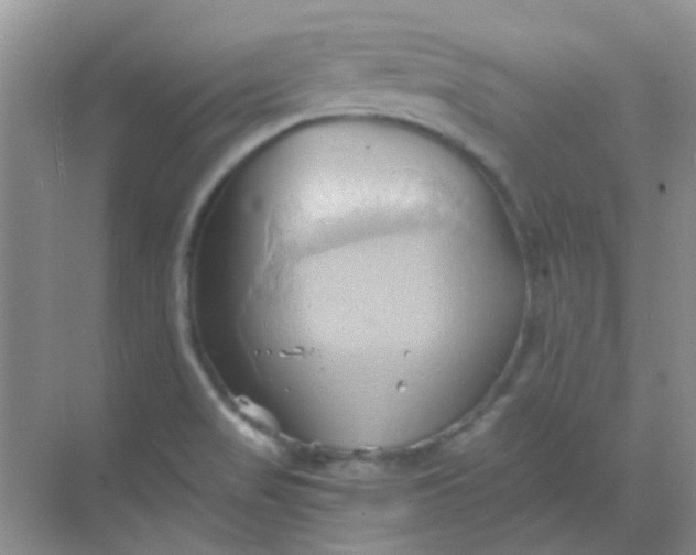 X0000068861517200605192004