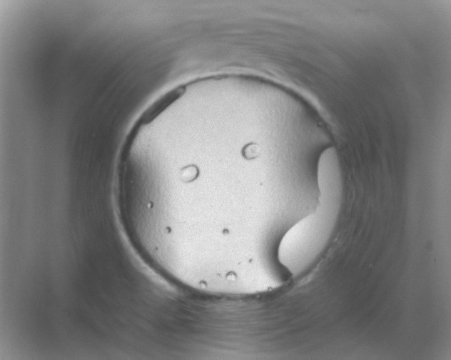 X0000068861518200605192004