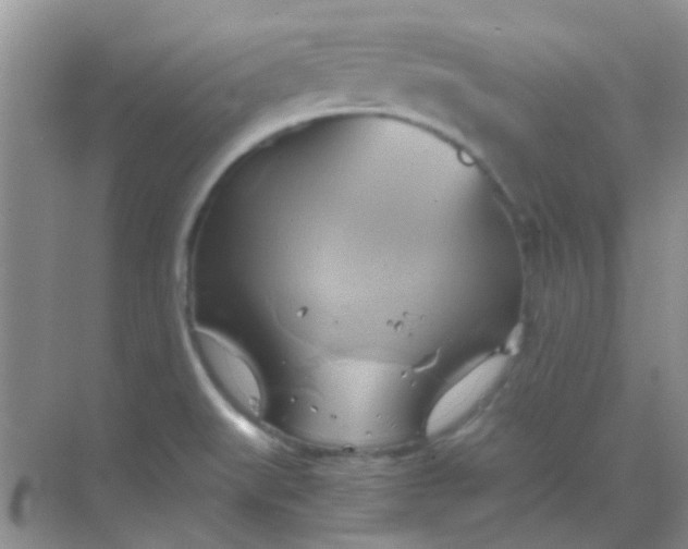 X0000068861519200605192004