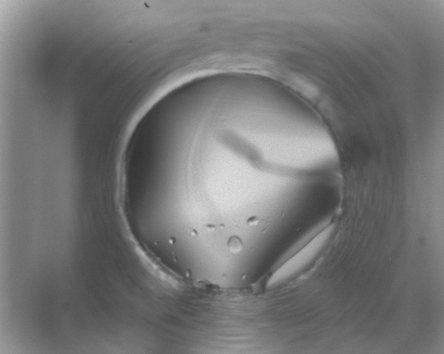 X0000068861520200605192004