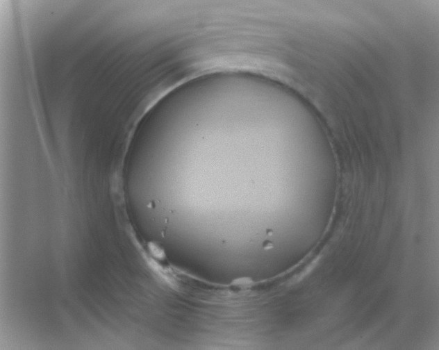 X0000068861521200605192004