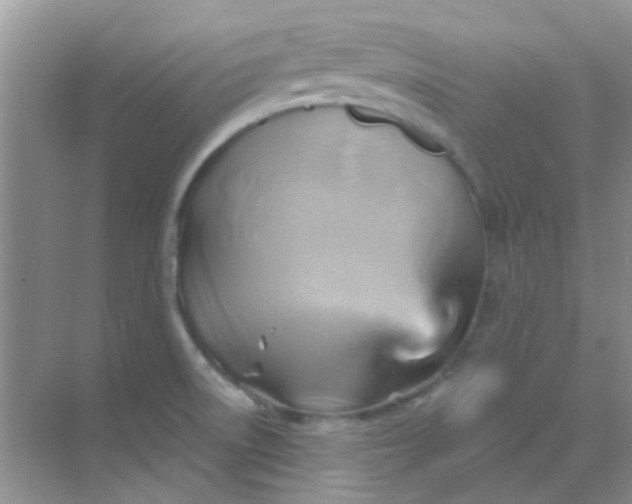 X0000068861522200605192004