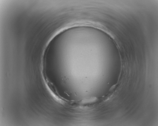 X0000068861523200605192004