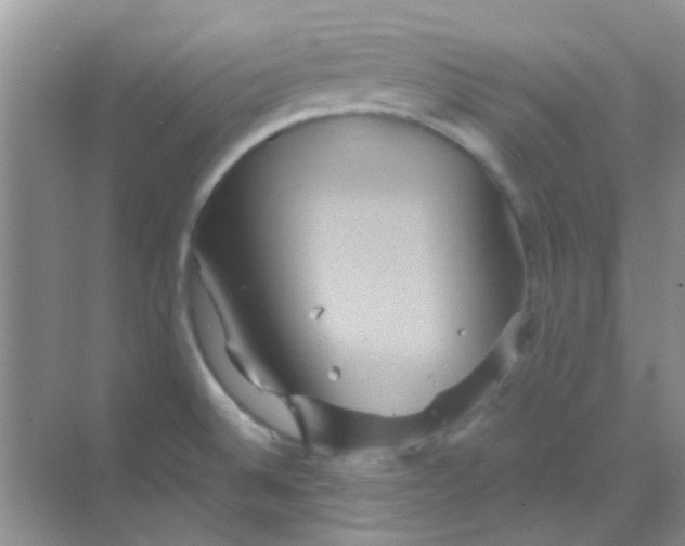 X0000068861524200605192004