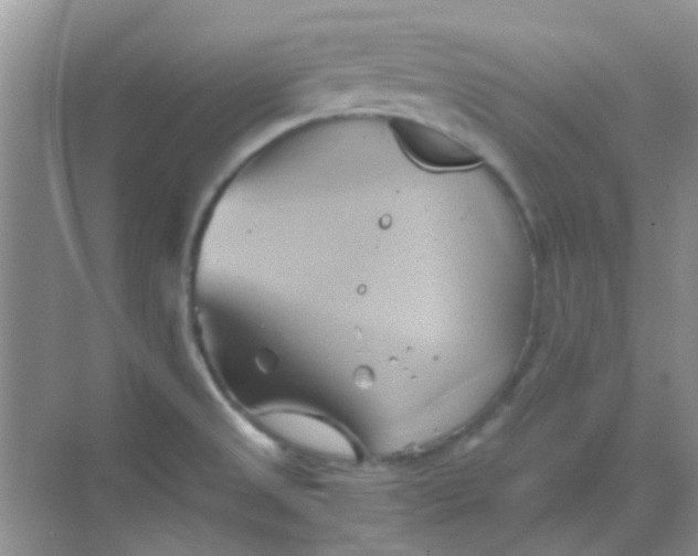 X0000068861525200605192004