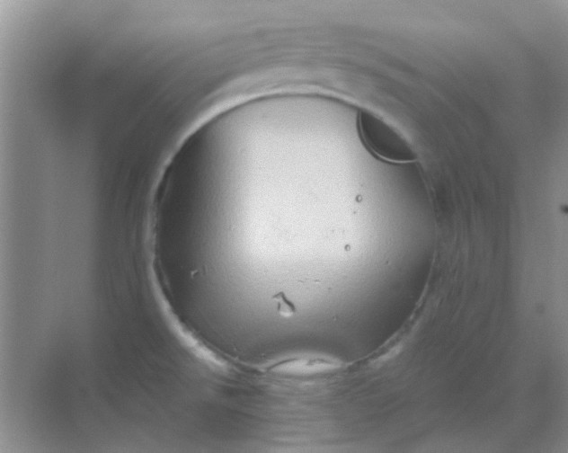 X0000068861526200605192004