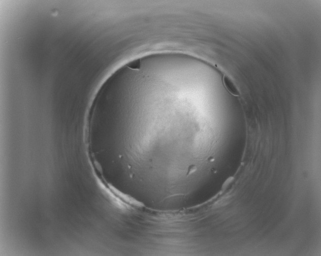 X0000068861527200605192004