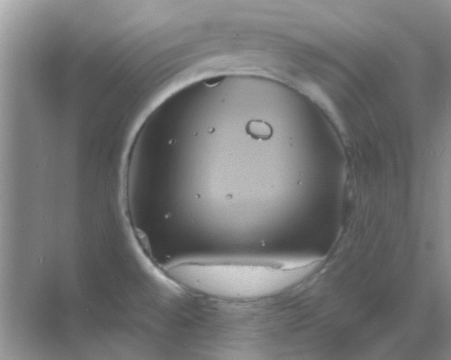 X0000068861528200605192004