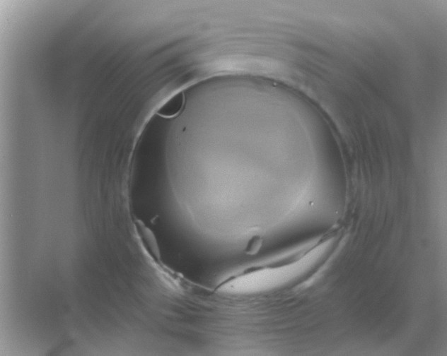 X0000068861529200605192004