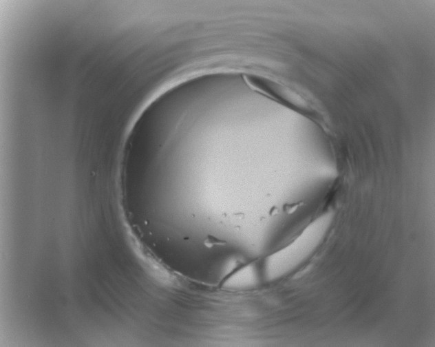 X0000068861530200605192004