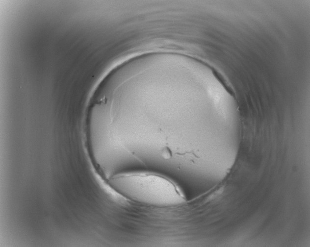 X0000068861531200605192004