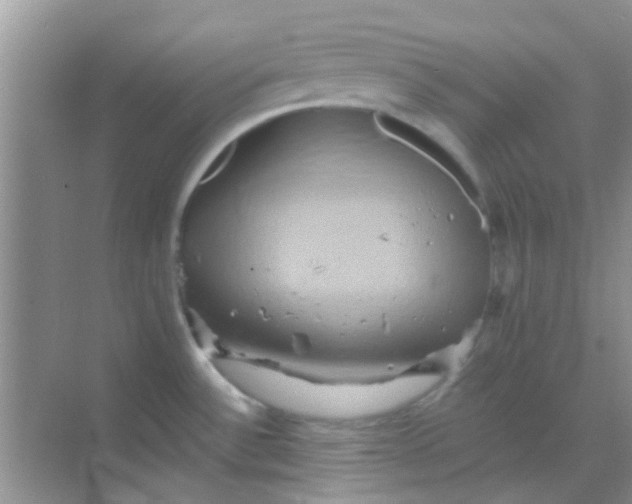 X0000068861532200605192004