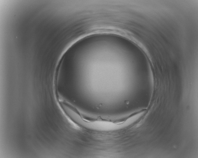 X0000068861533200605192004