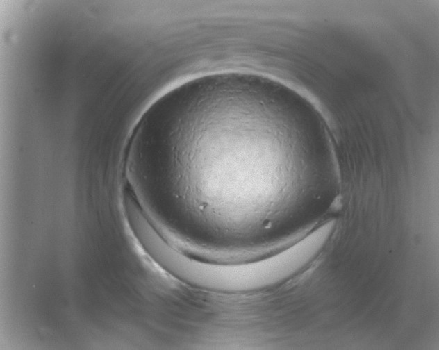 X0000068861534200605192004