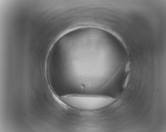 X0000068861535200605192004